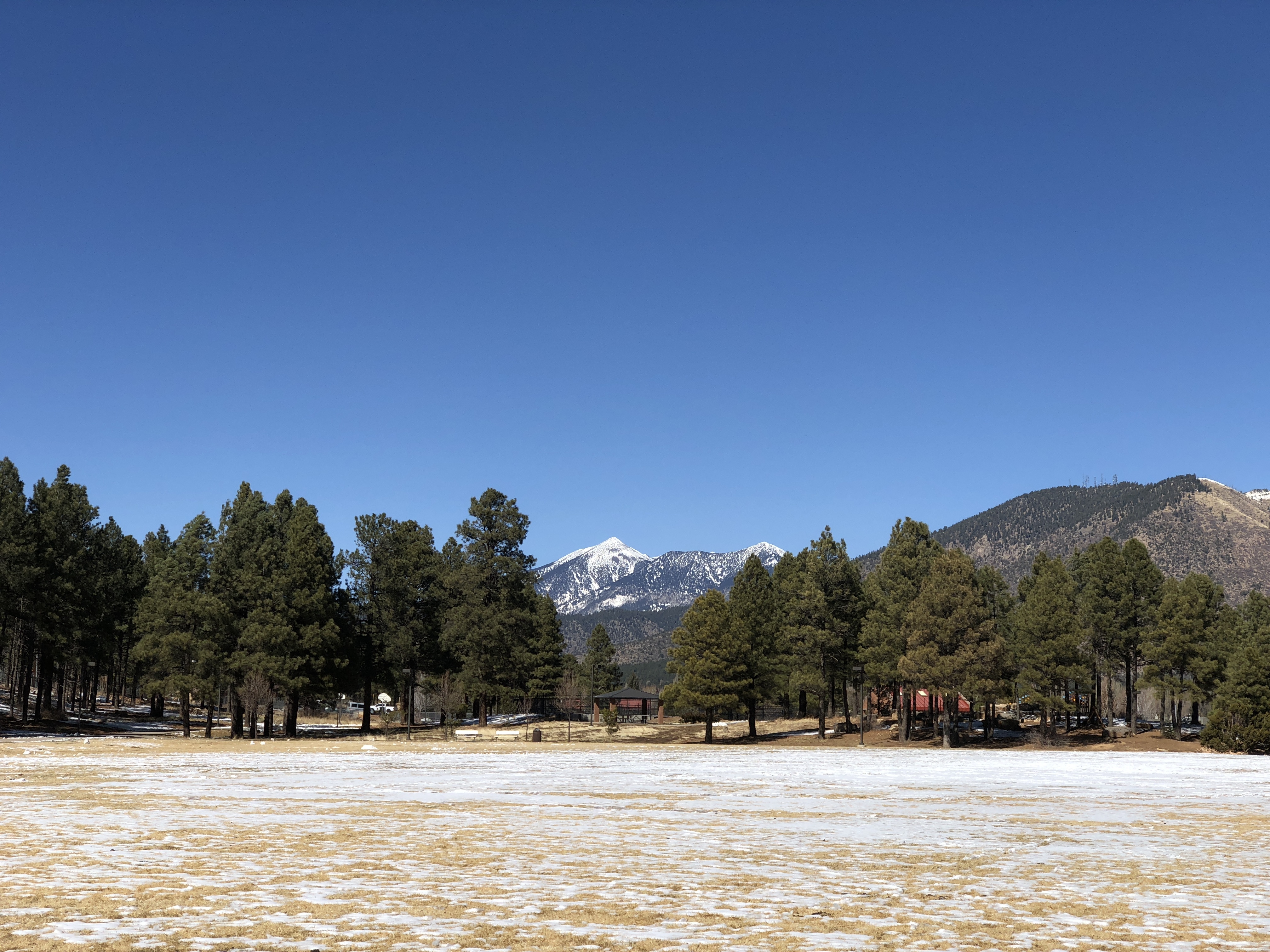 Snowy park with San Francisco Peaks in the background 