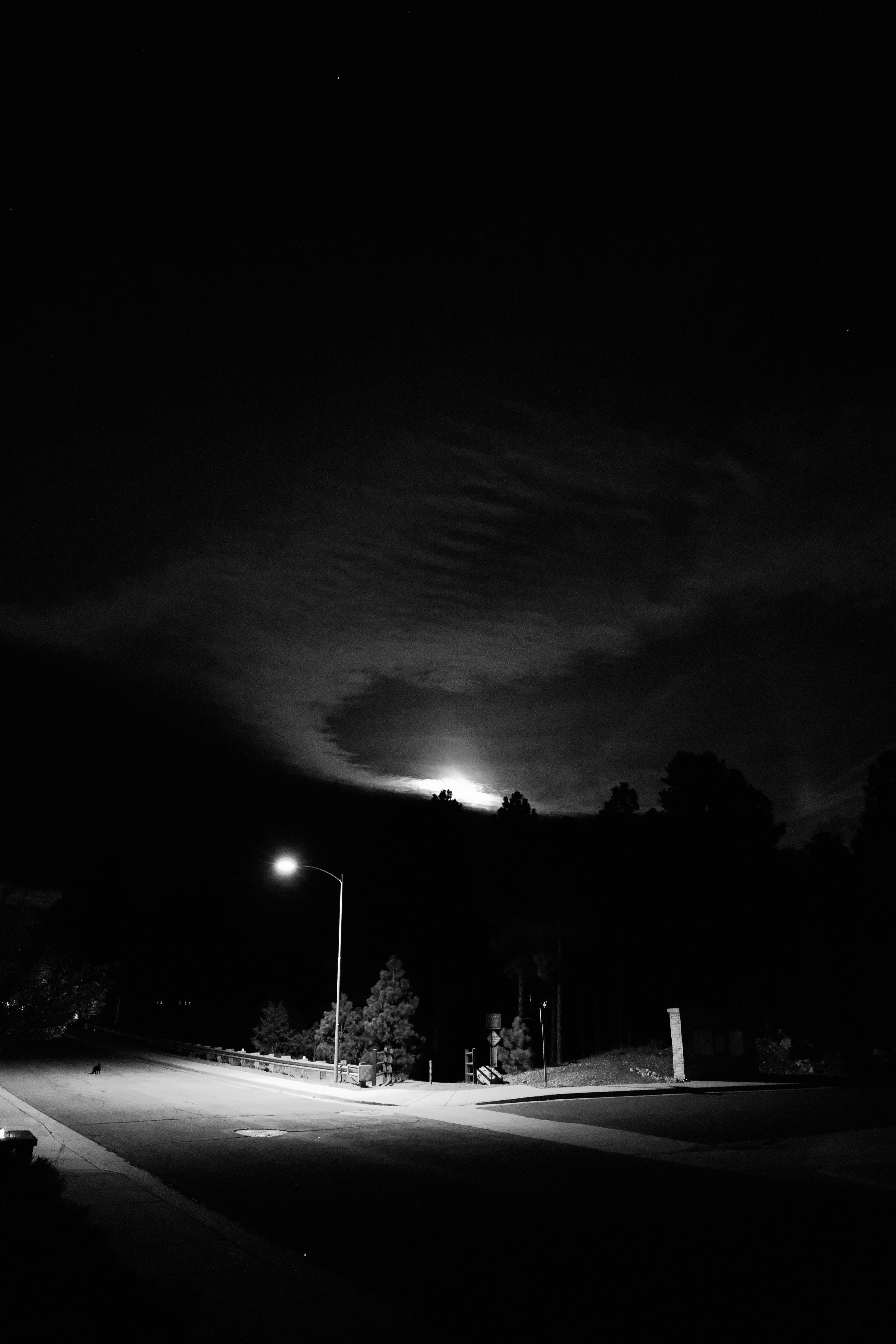 Photo of a black cat under a light with the moon appearing behind clouds 