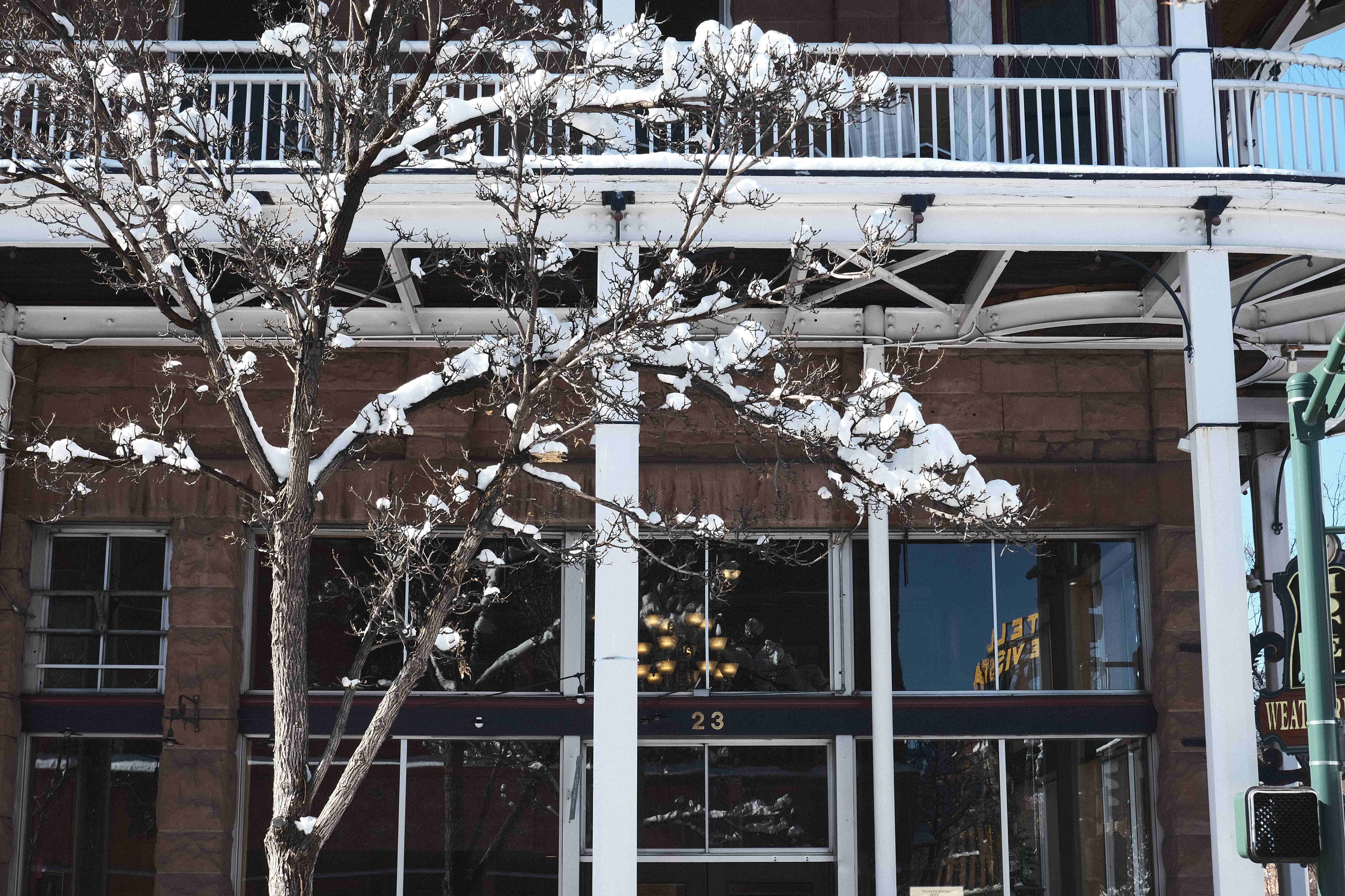 a snow-laden tree in front of a set of shop windows 
