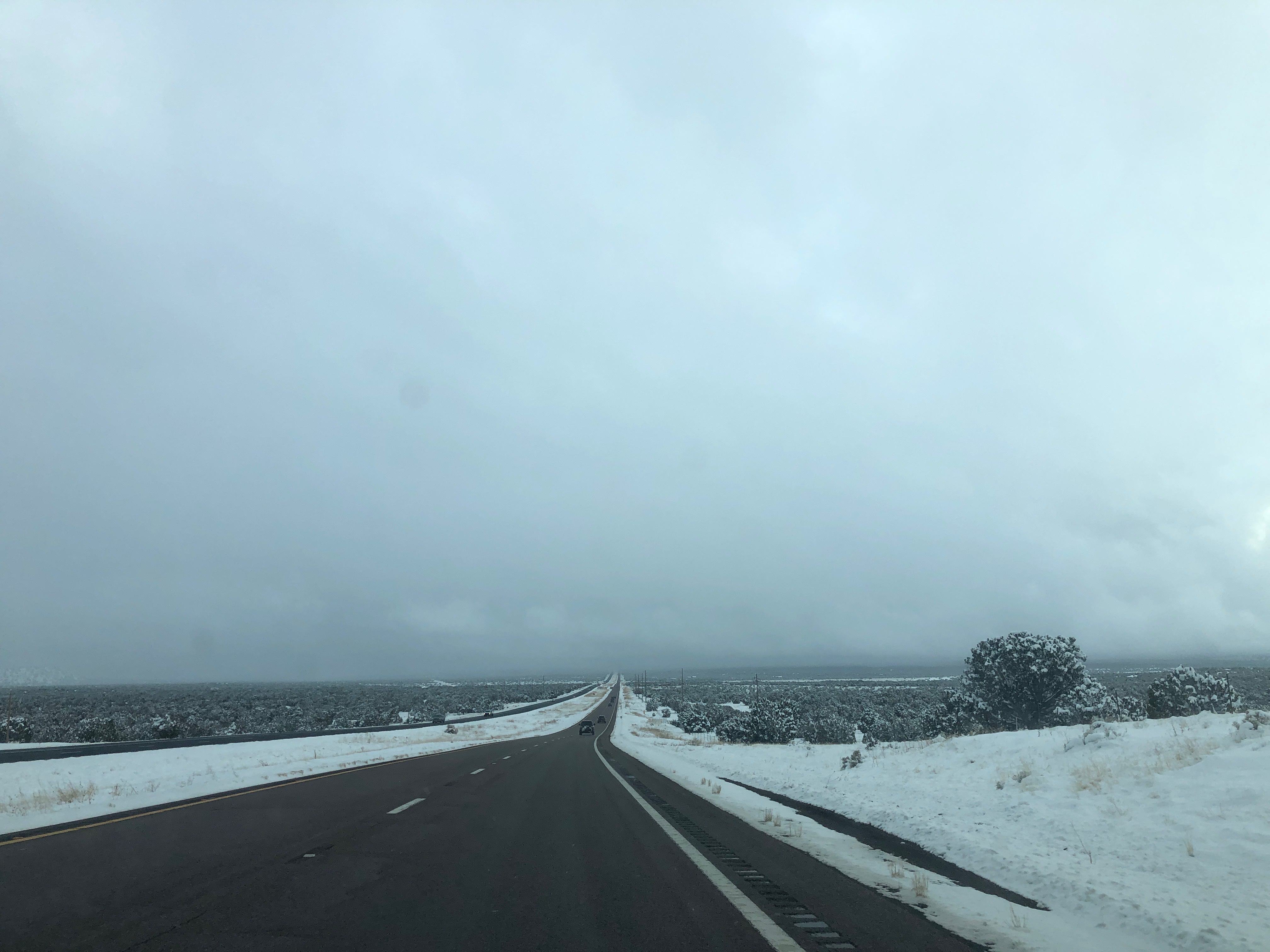 Wintery highway receding toward a wall of white clouds 