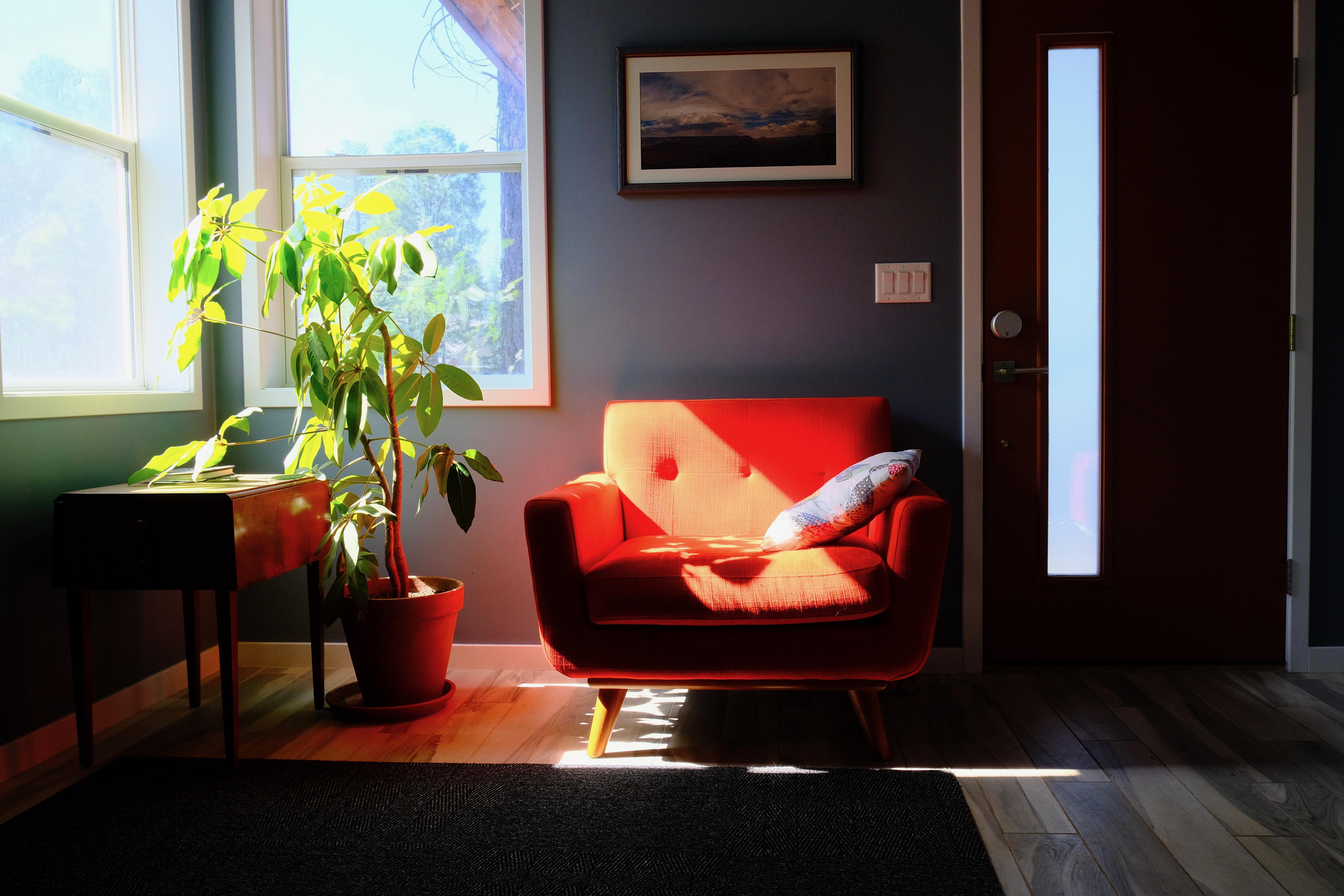 A corner of a room with an orange chair and green plant crossed by a bright sunbeam 