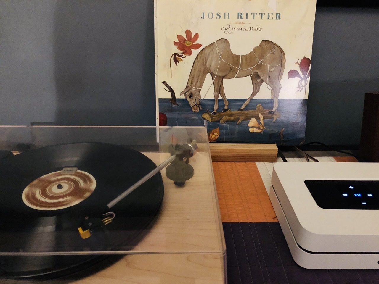 Josh Rotter’s The Animal  Years album cover beside a turntable  