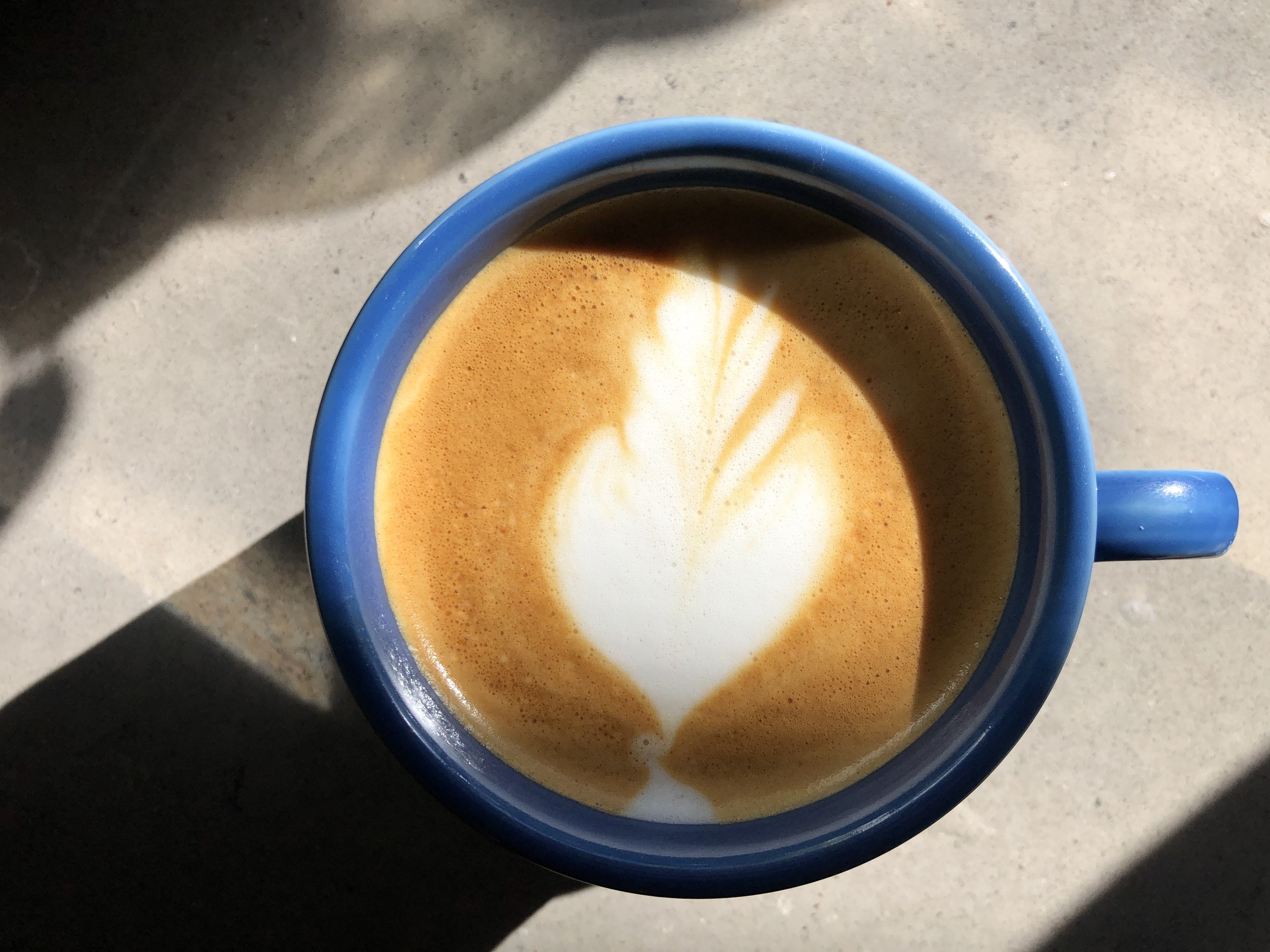 Photo of a cappuccino in a blue mug, with a flower-shaped pour of milk 