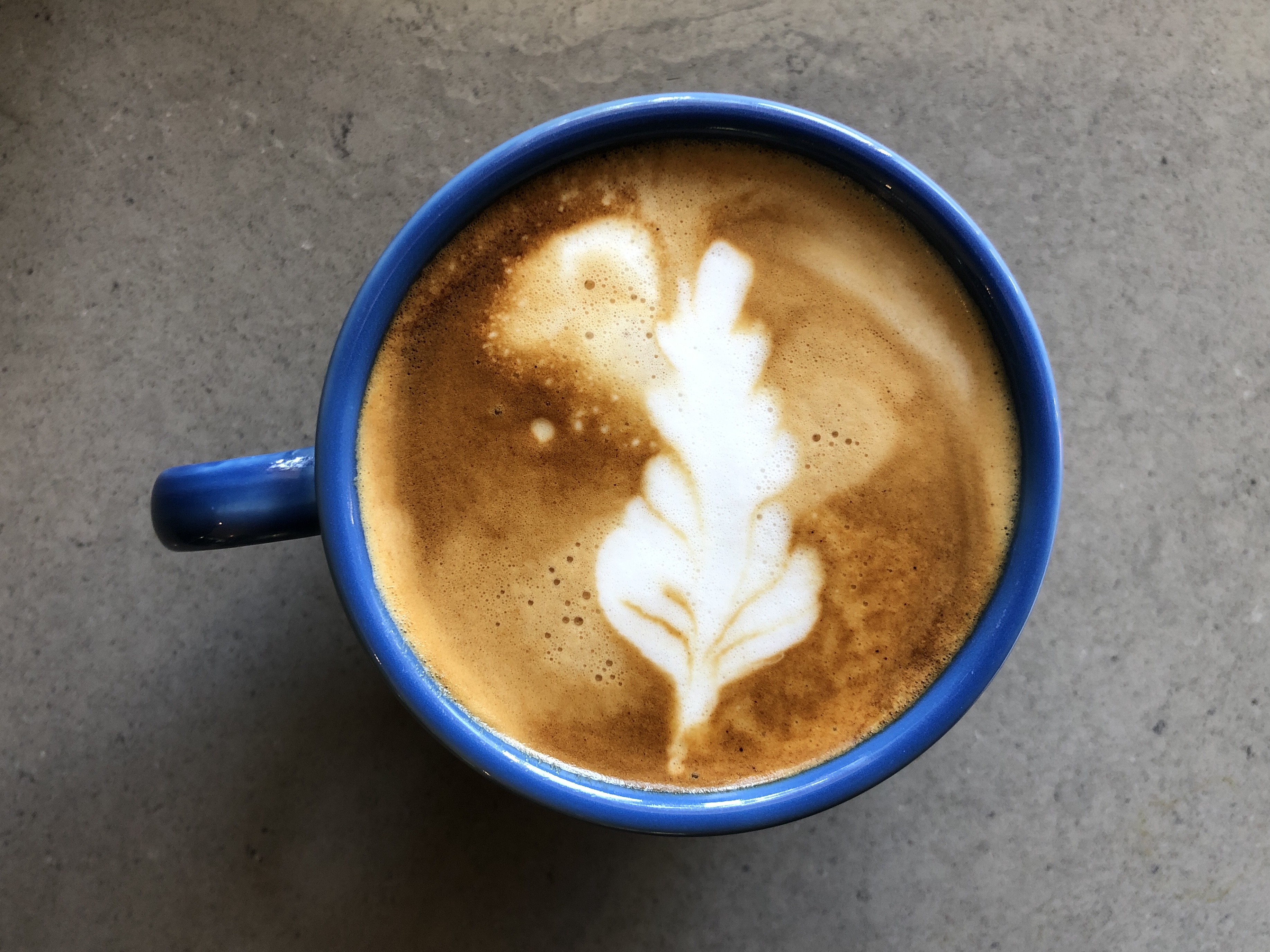 Cappuccino in a blue cup on a gray countertop. The milk is poured in a thin oak leaf shape.  
