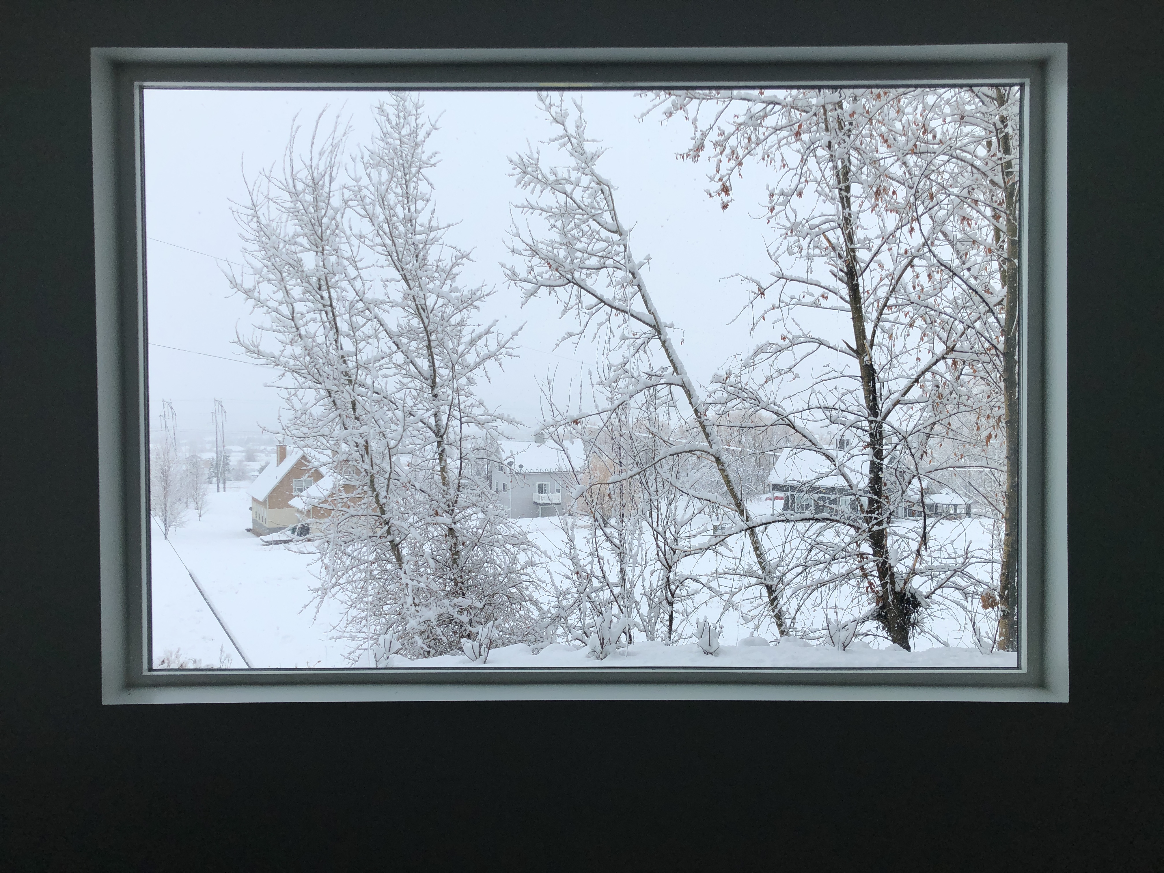 Photo through a large window, of a snowy landscape and trees draped in snow 