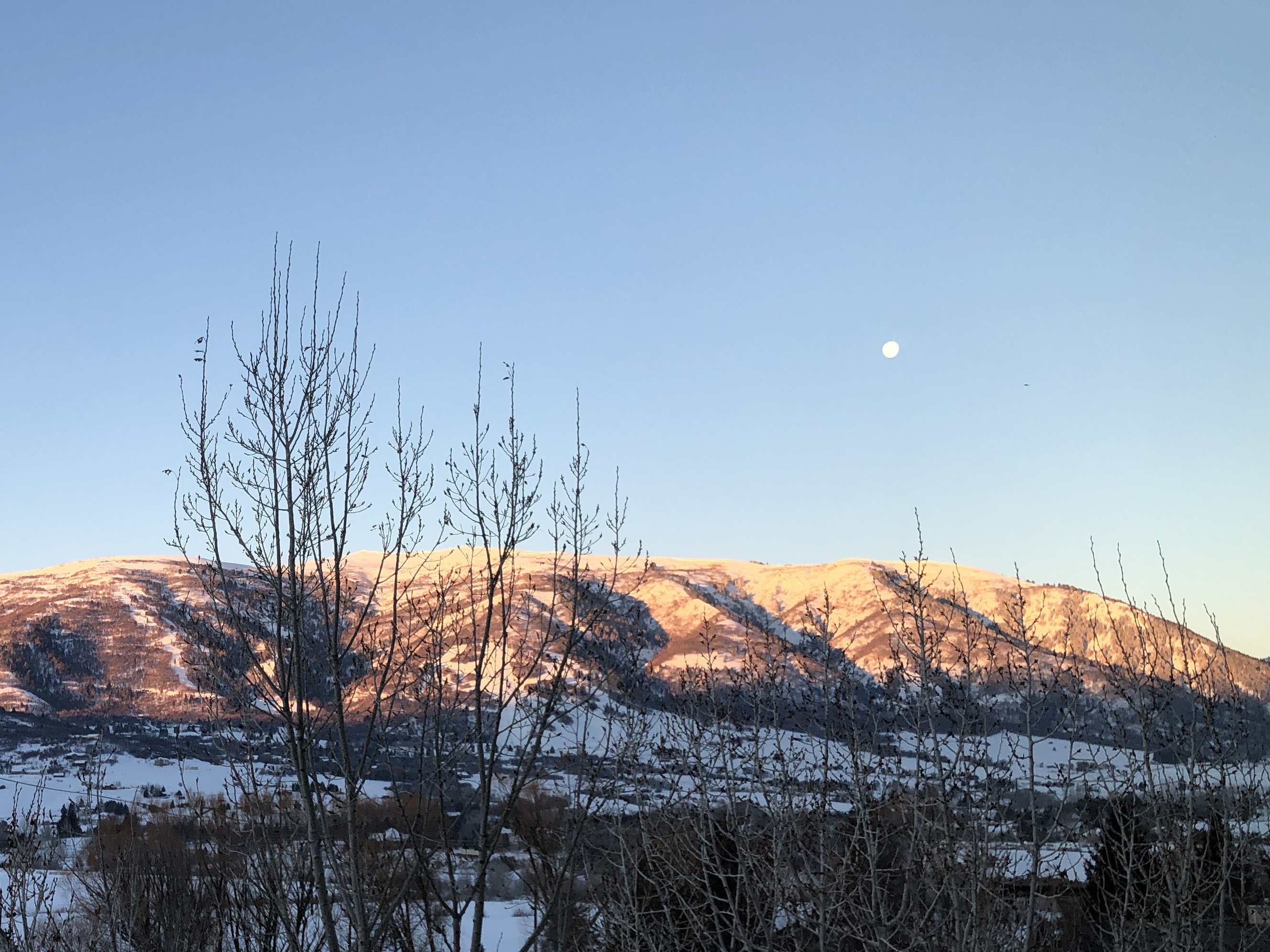 A full moon low over a snowy ridge being touched by morning sun, with trees in the foreground  
