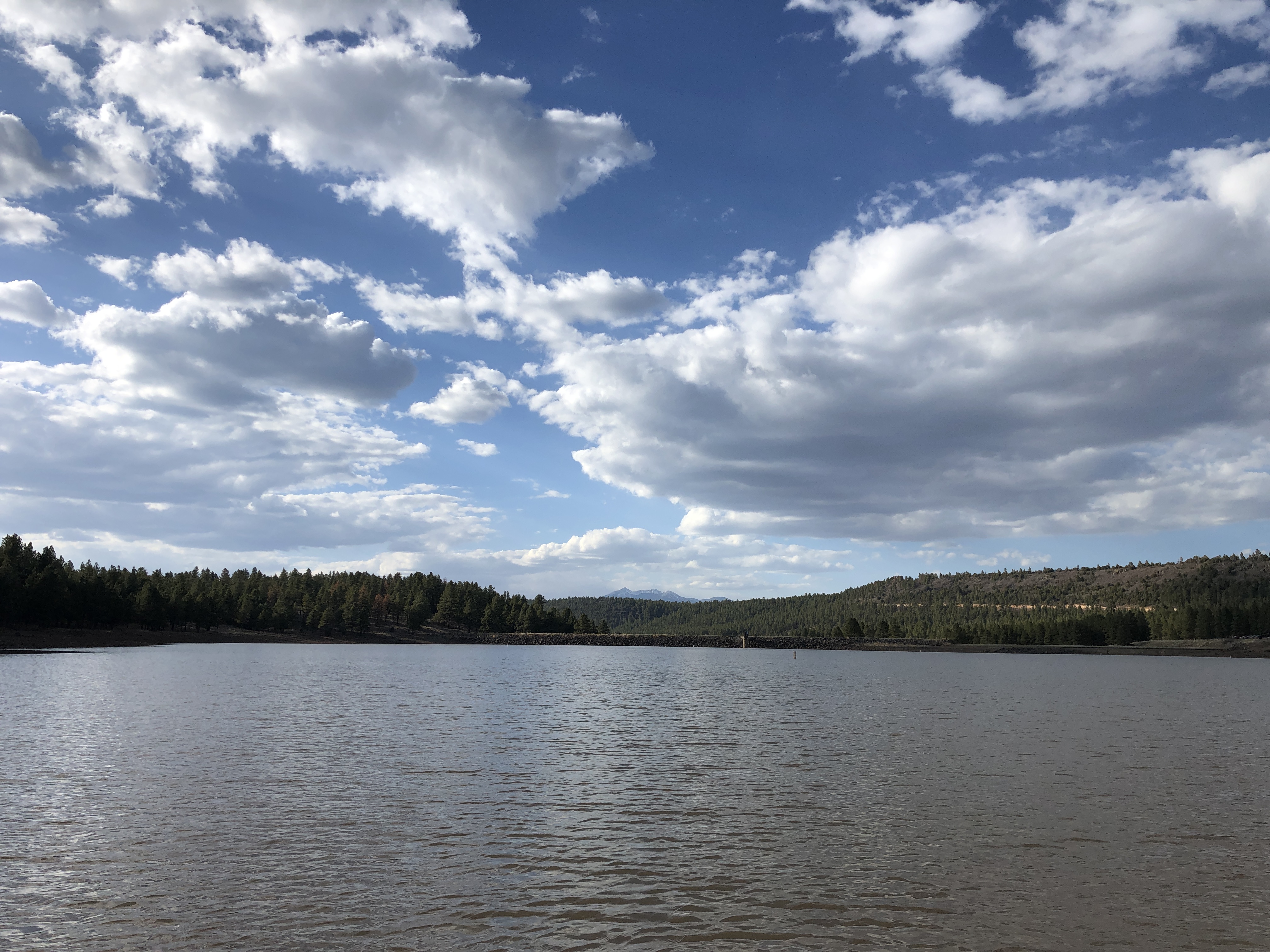 A ripply lake with pine trees on the horizon and scattered clouds above. In the far distance is a tall peak. 