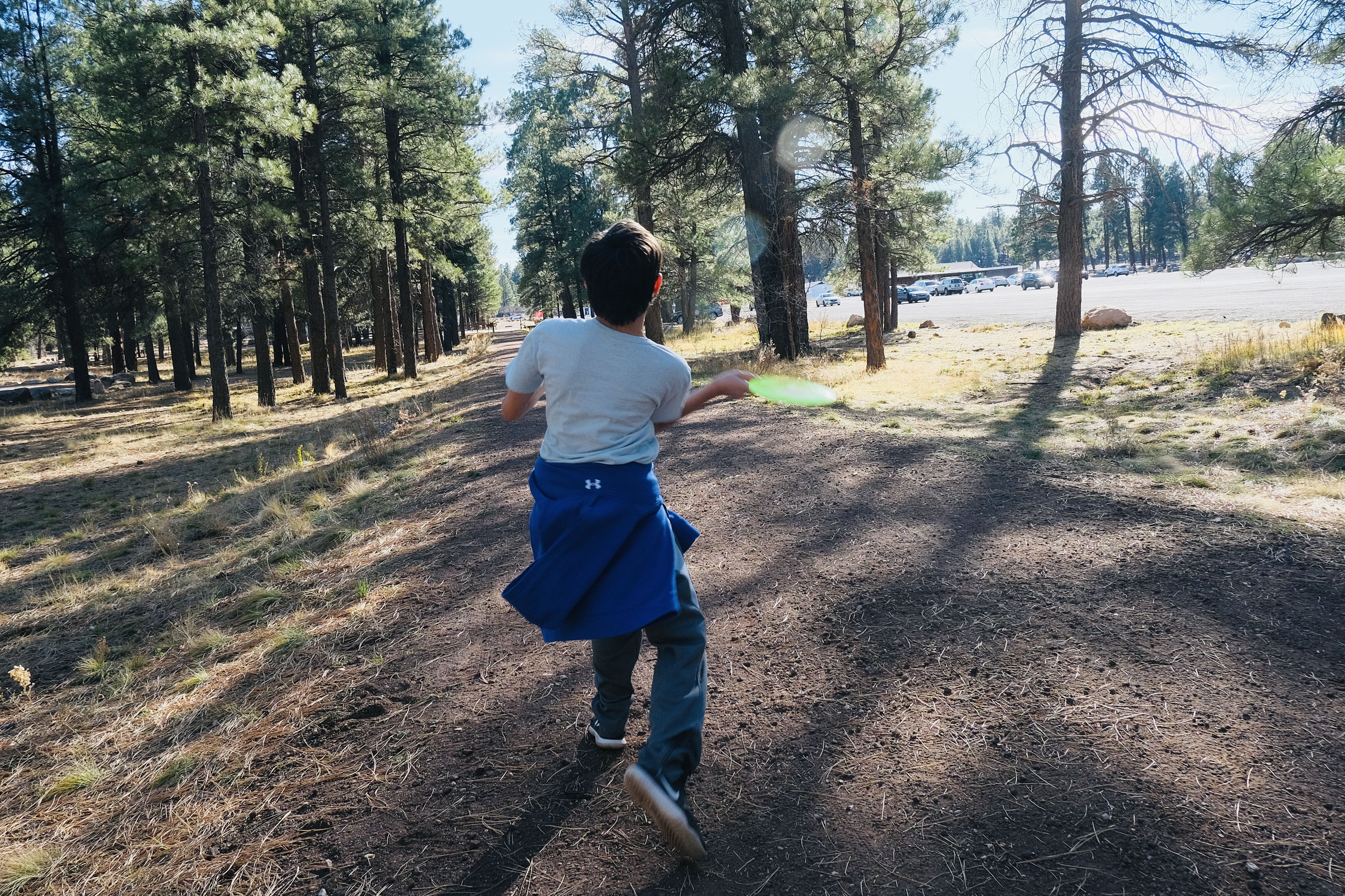 a boy throwing a bright green disc down a path lined by huge ponderosa pines 