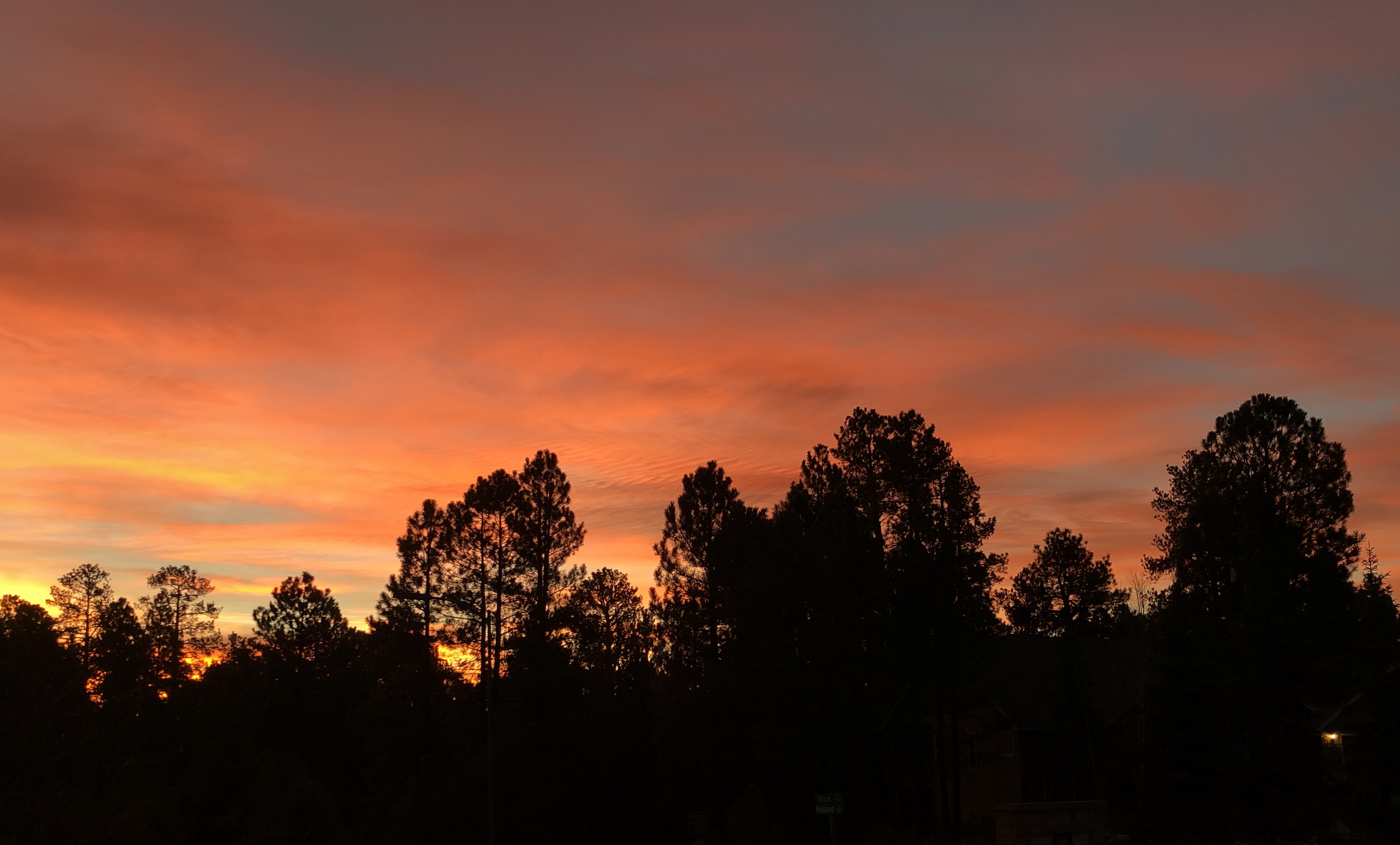 Black ponderosa pines in the foreground, backlit by a bright orange and pink cloudscape 