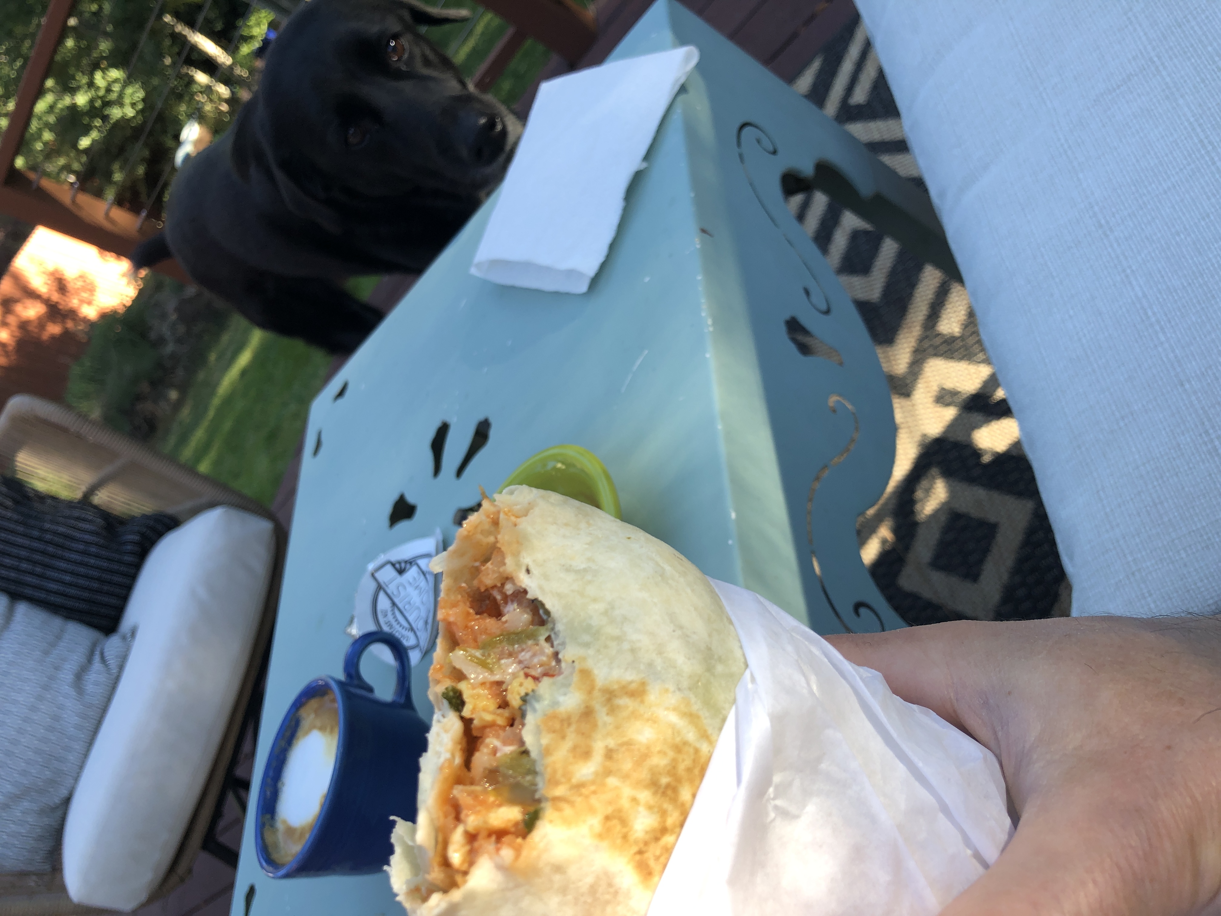 A partially eaten burrito held in a hand, with a coffee cup behind it on an outdoor patio table. Beside the table a black dog eyes the food alertly. 