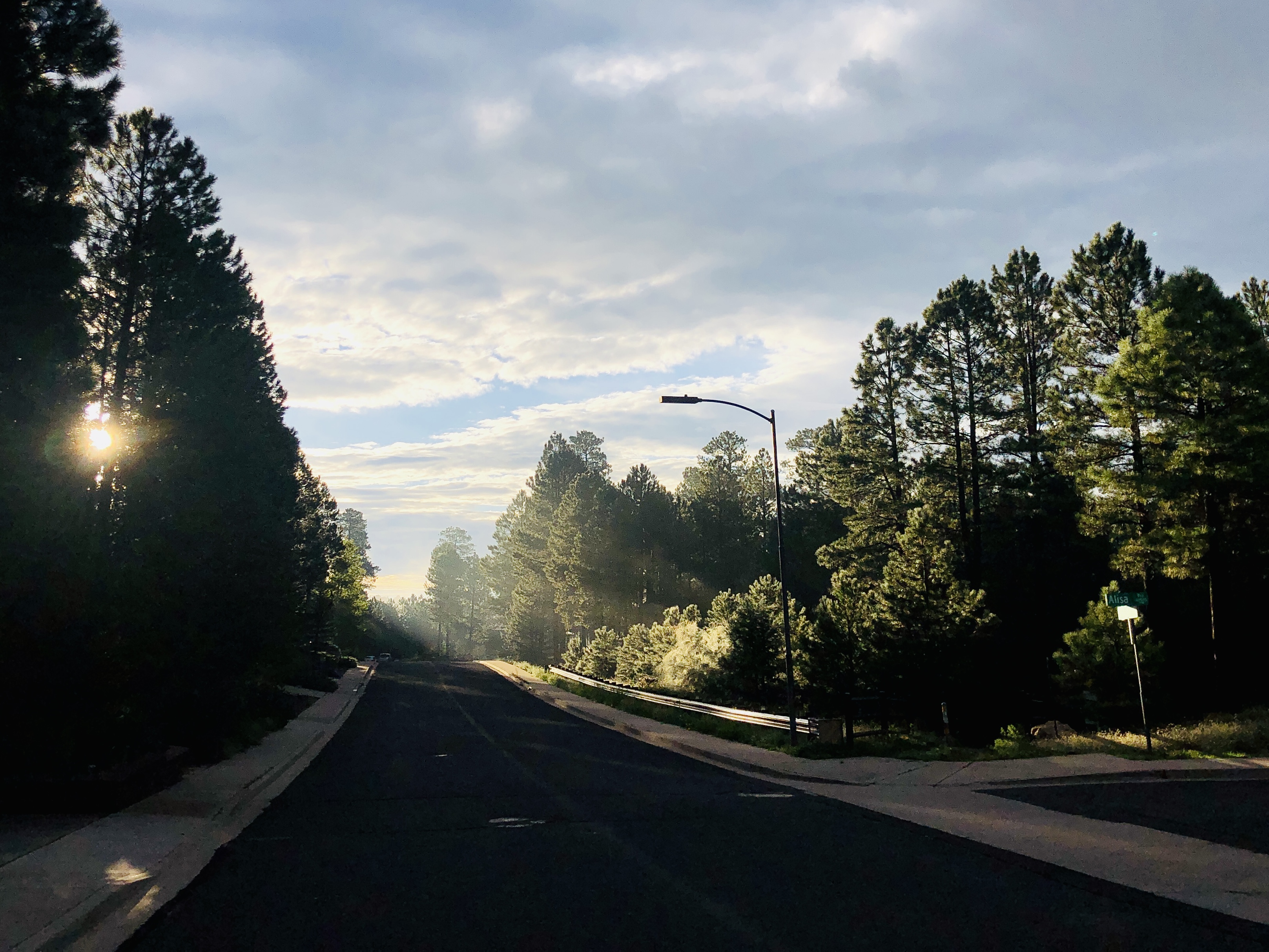 Low sunlight filters through trees and hazy clouds, making a misty glowing effect on the street 