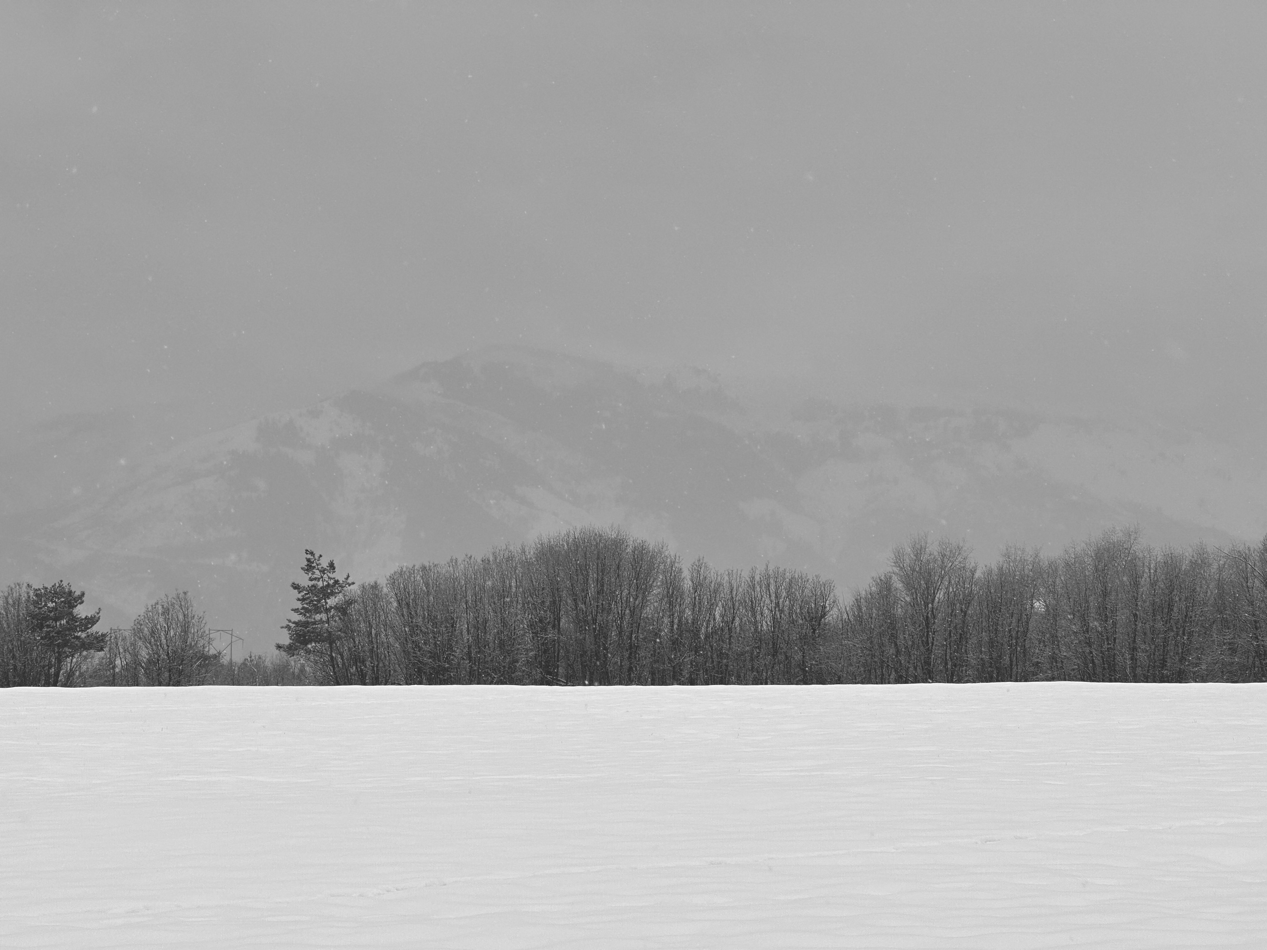 A snow covered field recedes to a faraway line of bare trees. Behind the trees, just barely visible within a low curtain of mist, is a low ridgeline.
