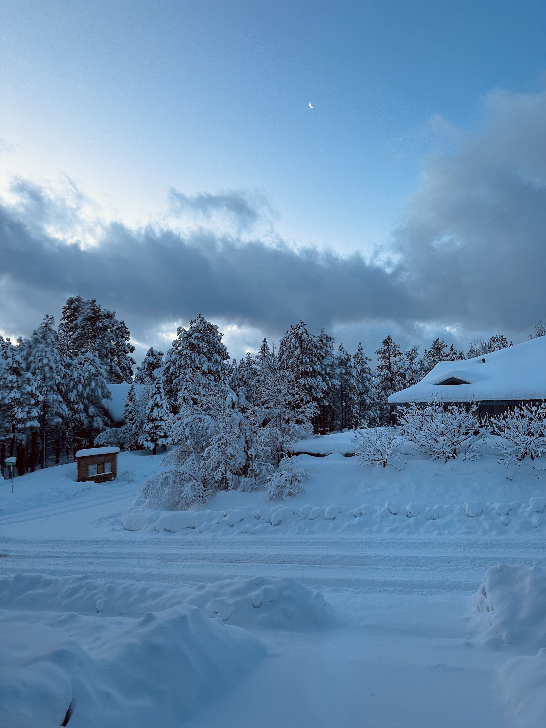 A sliver of crescent moon sits above a ponderosa pine lined street covered in snow. The street and snowbound house are in the foreground. Thin clouds are clearing beneath the moon, showing crystal blue morning sky behind them. 
