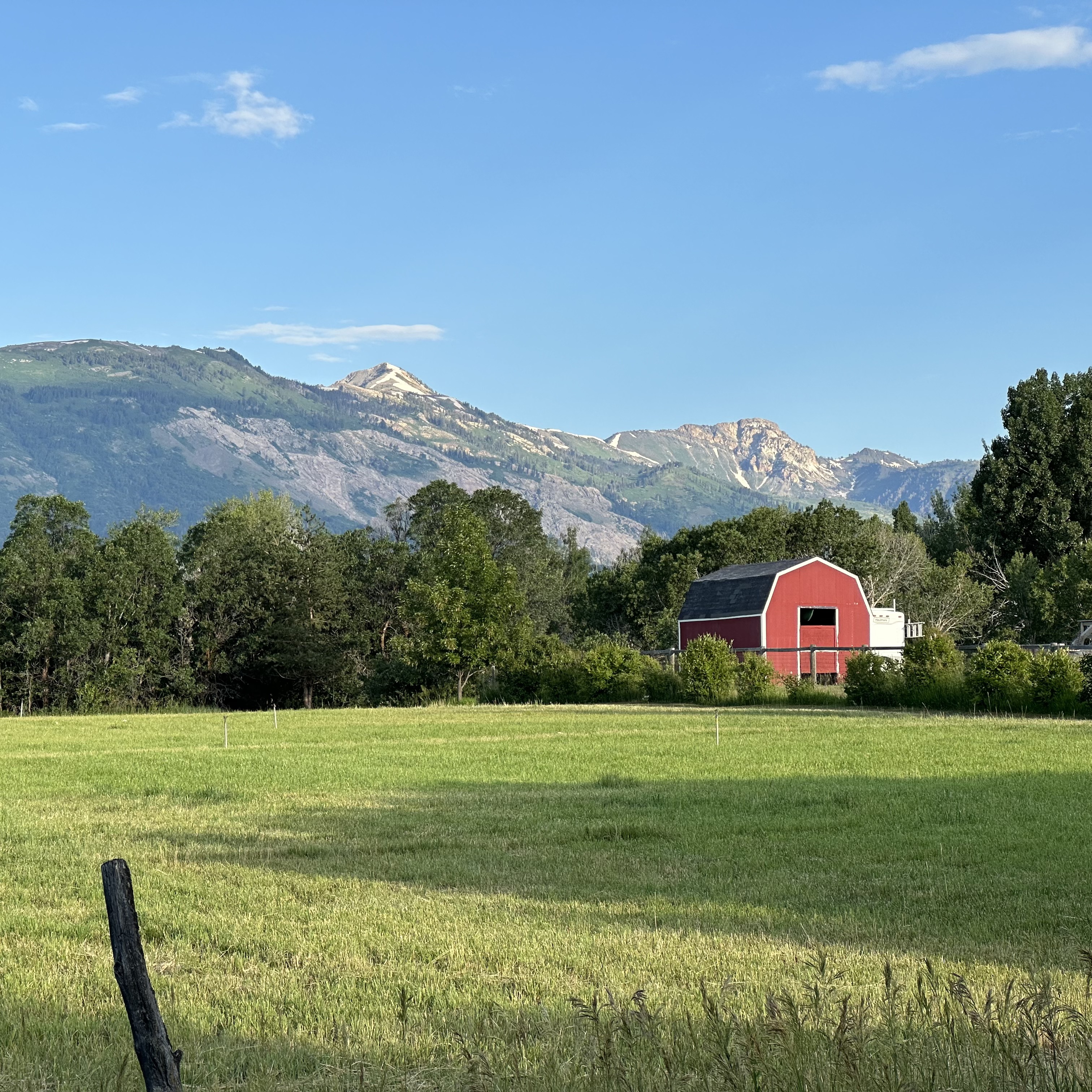 A red barn sits at the far edge of a green field. In the distance is a set of rocky peaks with snow still on them. 